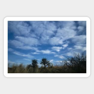 White Fluffy Clouds in a Cluster Sticker